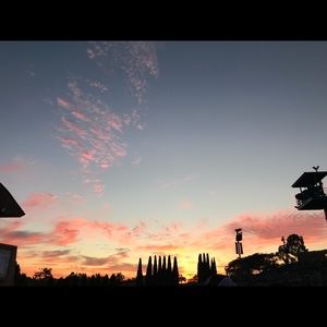 Meet your Posher, Kayley